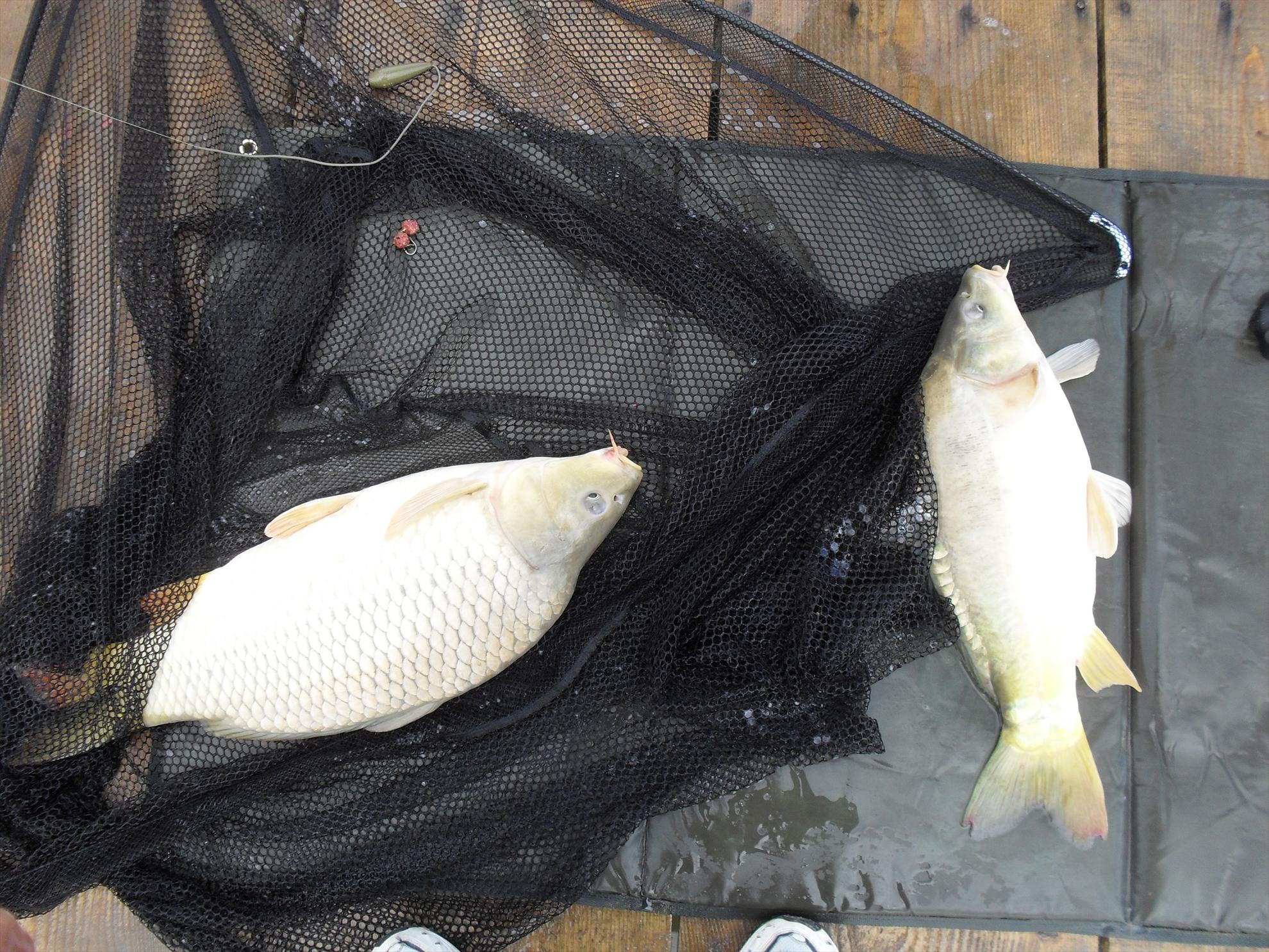 Magura 9 - sdc11225.JPG